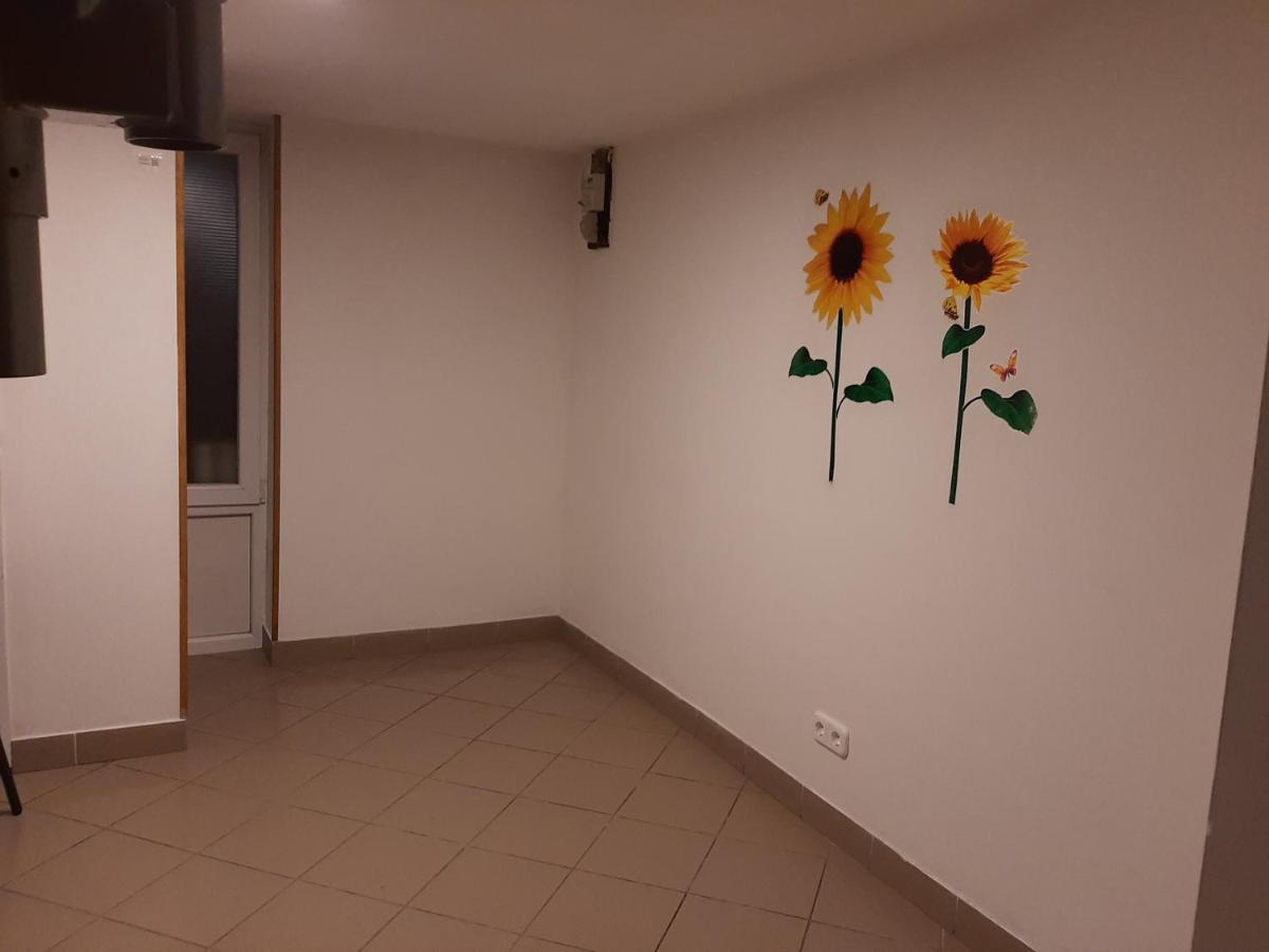 布达佩斯Apartman Vorosmarty公寓 外观 照片